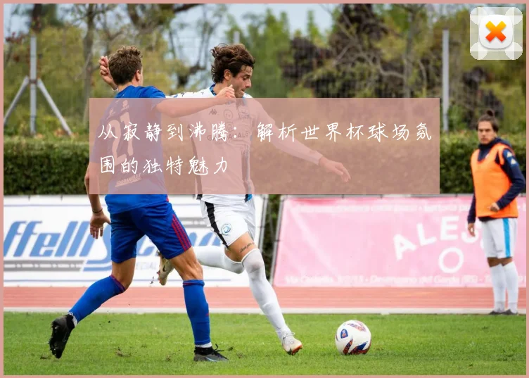 从寂静到沸腾:解析世界杯球场氛围的独特魅力